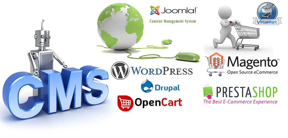 CMS Maintenance and Support Services in Bhubaneswar Odisha - Climax Infotech